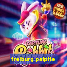 freiburg palpite